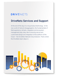 DriveNets-Services-and-Support-Business-Case